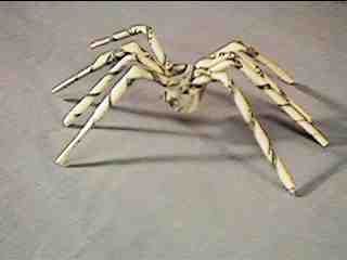 Αράχνη Bill δολαρίων Origami