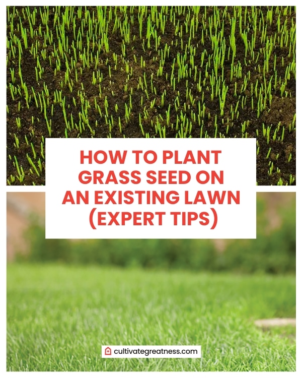 How to Plant Grass Seed on an Existing Lawn