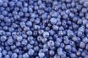 blueberryys