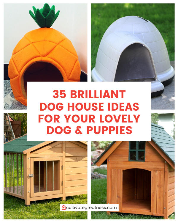 35 Brilliant Dog House Ideas For Your, Double Door Dog House Plans