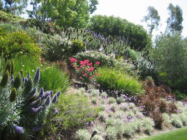 inexpensive hillside landscaping ideas