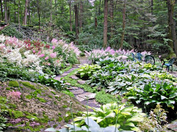 landscaping ideas for hillside backyard