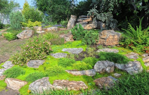 rock hillside landscaping ideas