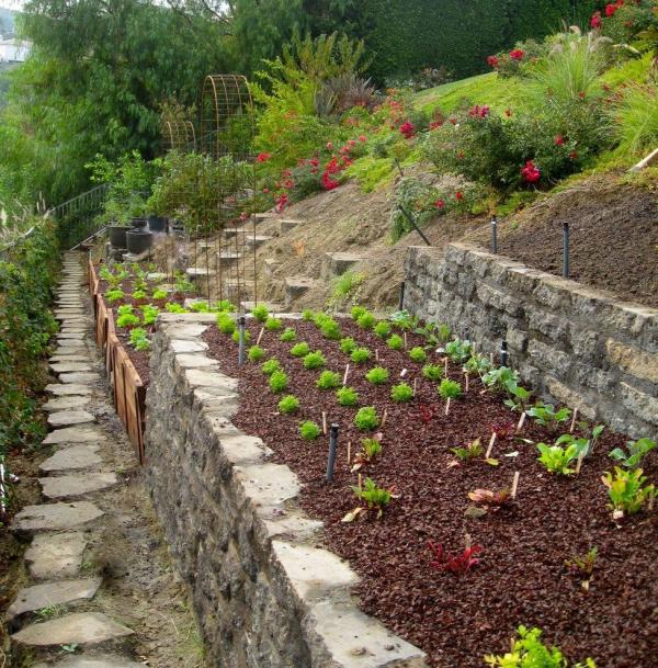25 Hillside Landscaping Ideas With Low, How To Landscape A Steep Slope On Budget